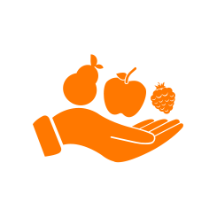 Campanha de alimentos 2021